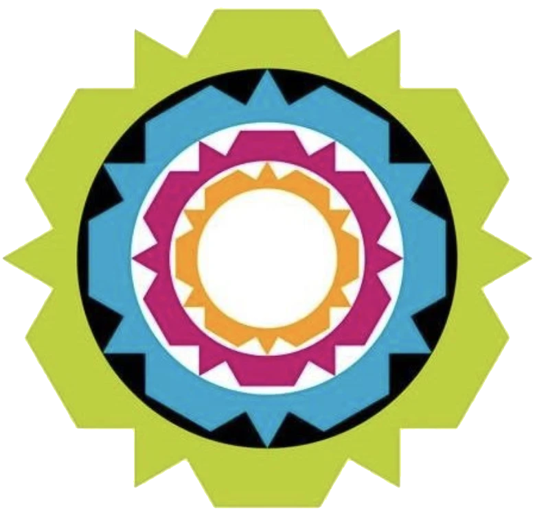 CoCT Traffic Fine Queries